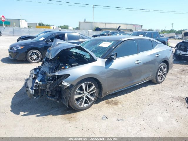 Photo 1 VIN: 1N4AA6CVXLC379044 - NISSAN MAXIMA 