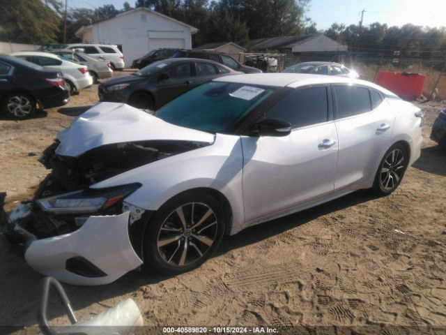 Photo 1 VIN: 1N4AA6CVXMC512516 - NISSAN MAXIMA 