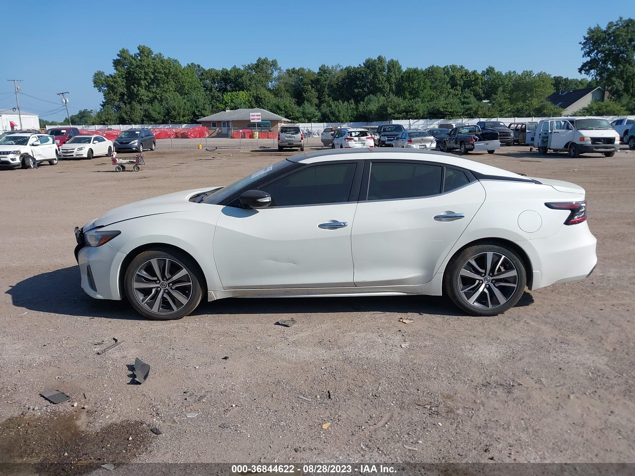 Photo 13 VIN: 1N4AA6DV1LC377987 - NISSAN MAXIMA 