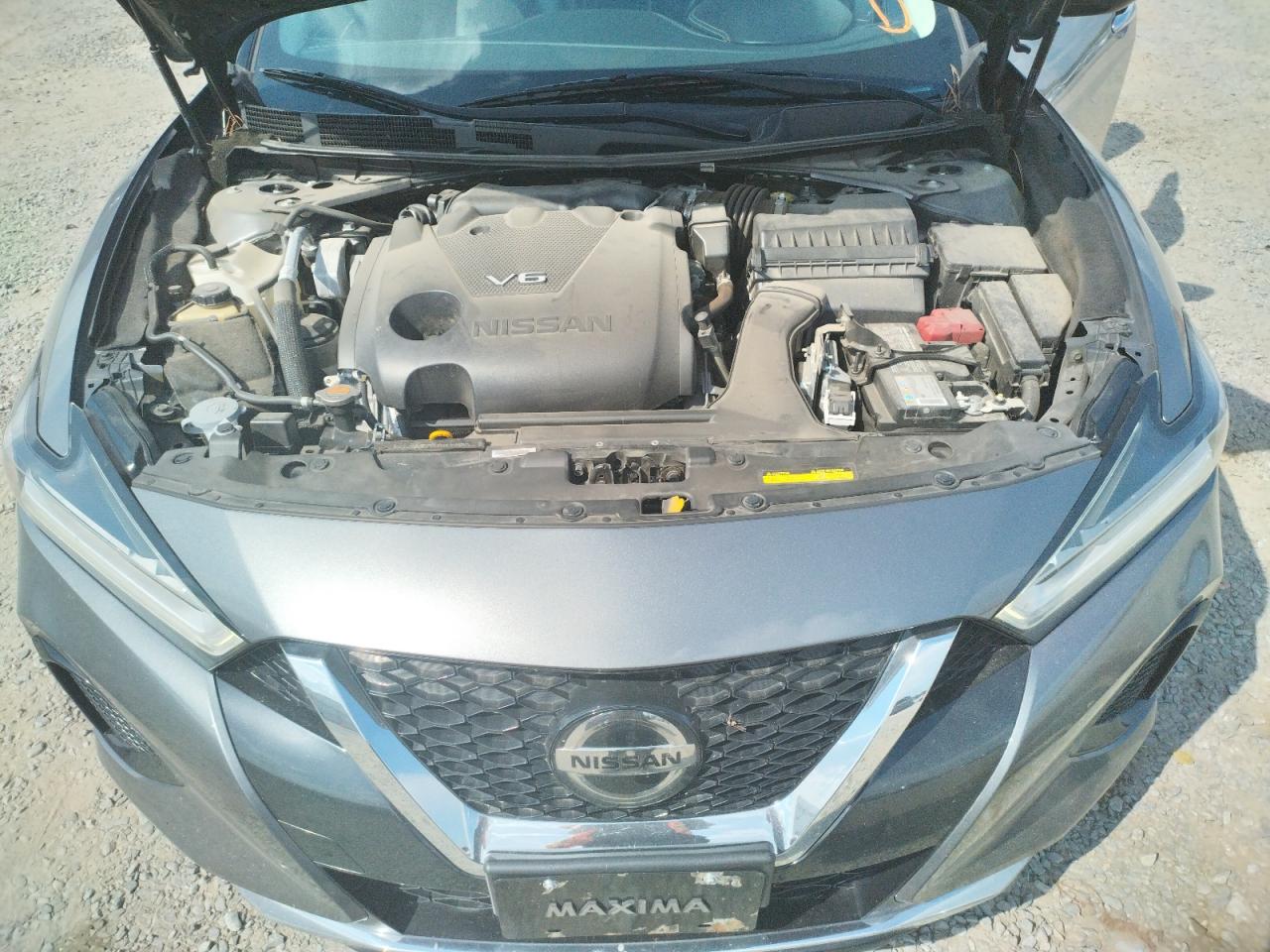 Photo 10 VIN: 1N4AA6DV2LC364200 - NISSAN MAXIMA 