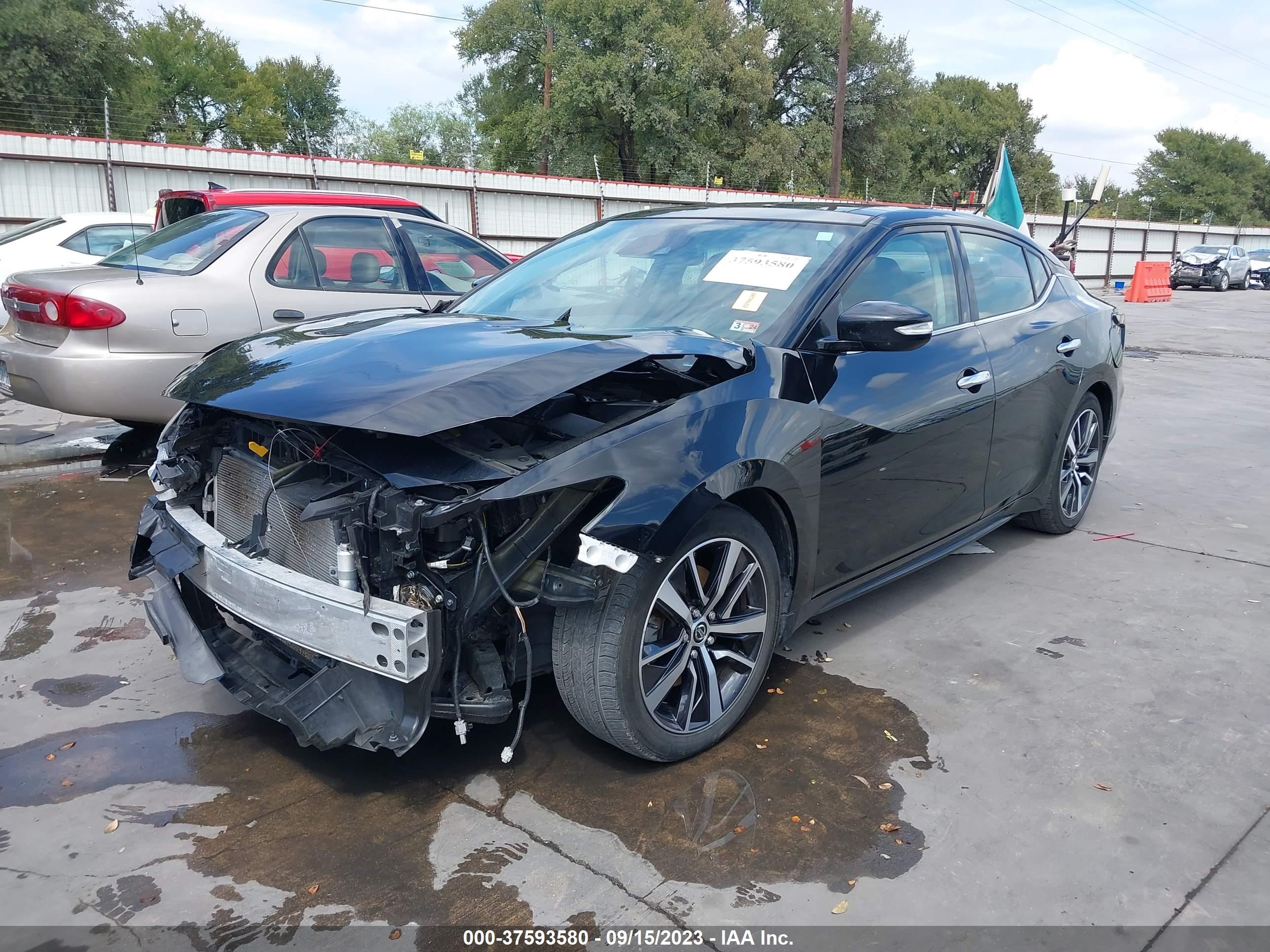 Photo 1 VIN: 1N4AA6DV2LC376346 - NISSAN MAXIMA 