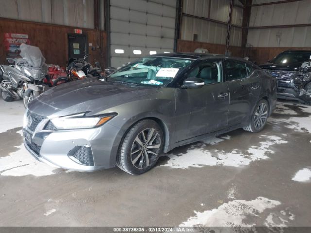 Photo 1 VIN: 1N4AA6DV3LC365453 - NISSAN MAXIMA 