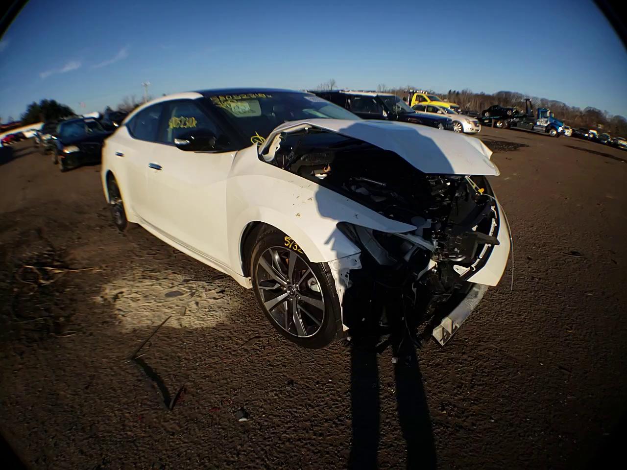 Photo 10 VIN: 1N4AA6DV3LC371513 - NISSAN MAXIMA SL 