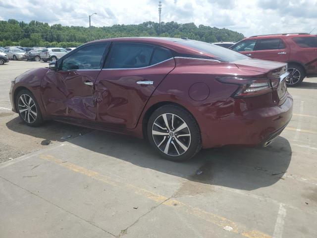 Photo 1 VIN: 1N4AA6DV4LC366157 - NISSAN MAXIMA SL 