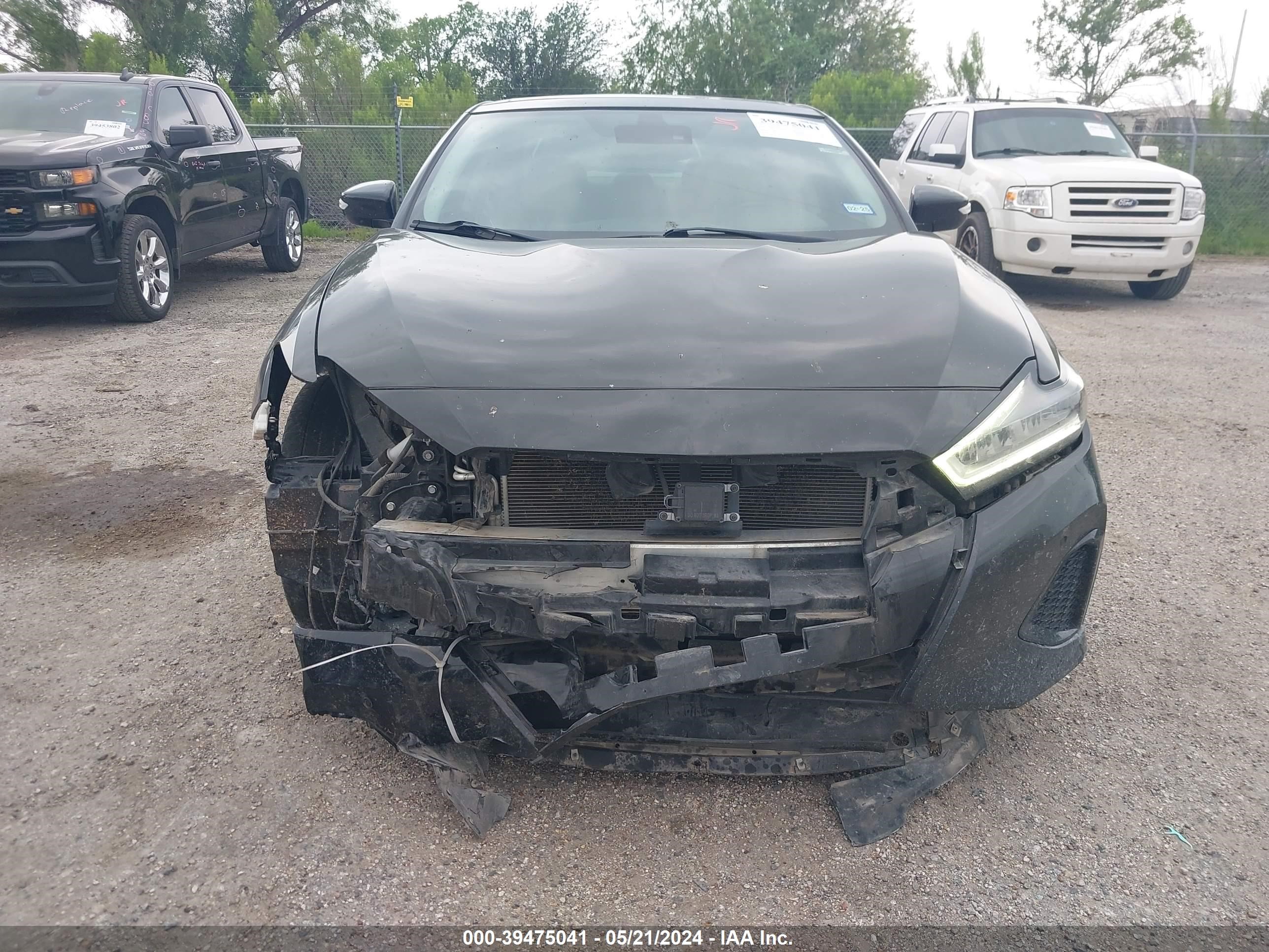 Photo 11 VIN: 1N4AA6DV7LC376357 - NISSAN MAXIMA 