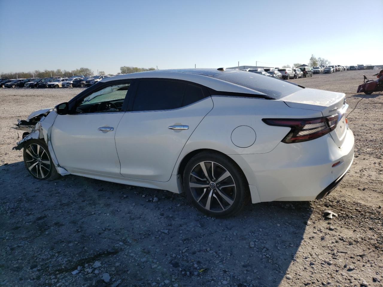 Photo 1 VIN: 1N4AA6DV9LC365800 - NISSAN MAXIMA 