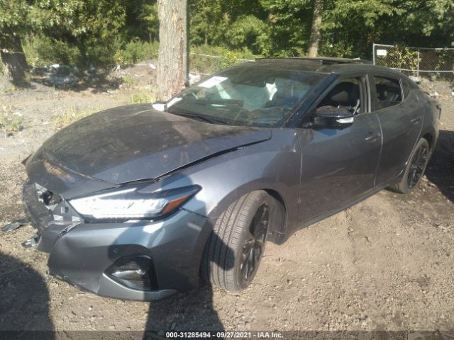 Photo 1 VIN: 1N4AA6EV1MC509596 - NISSAN MAXIMA 