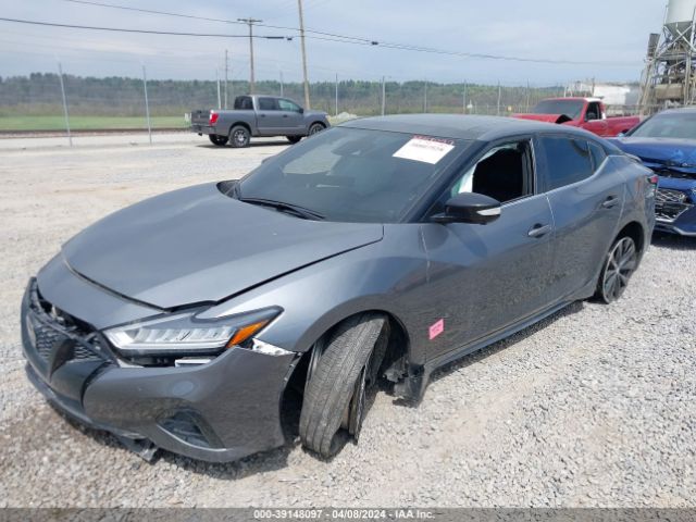 Photo 1 VIN: 1N4AA6EV1MC515608 - NISSAN MAXIMA 