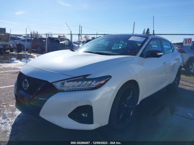 Photo 1 VIN: 1N4AA6EV2MC509252 - NISSAN MAXIMA 