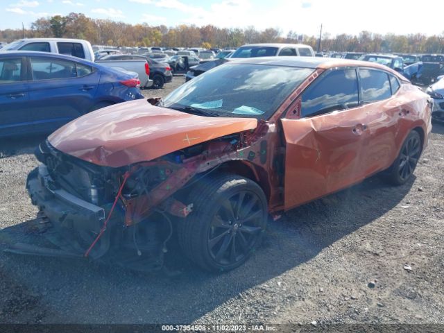 Photo 1 VIN: 1N4AA6EV3MC505873 - NISSAN MAXIMA 