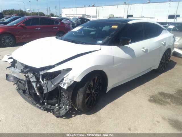 Photo 1 VIN: 1N4AA6EV4PC502047 - NISSAN MAXIMA 