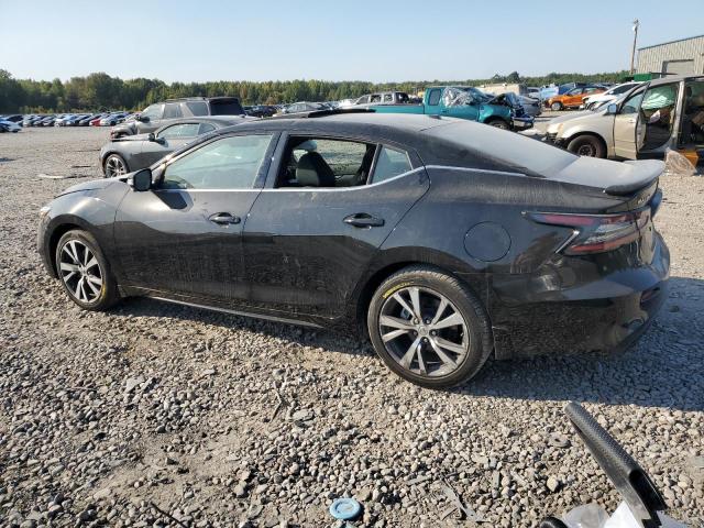 Photo 1 VIN: 1N4AA6EV6PC504060 - NISSAN MAXIMA 