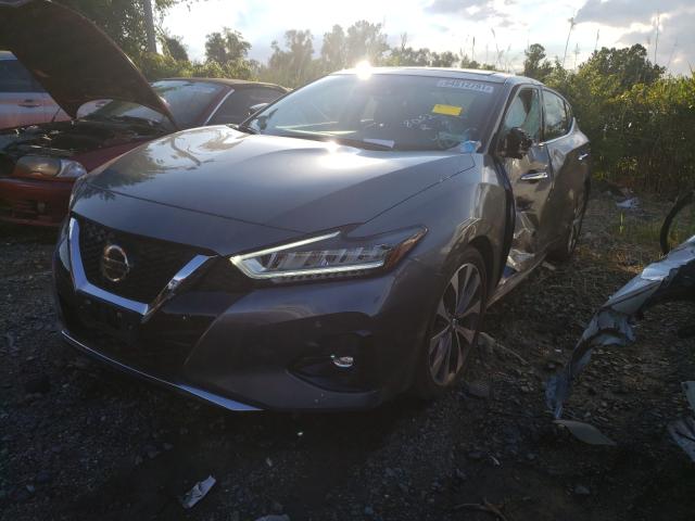 Photo 1 VIN: 1N4AA6FV2MC508052 - NISSAN MAXIMA PLA 