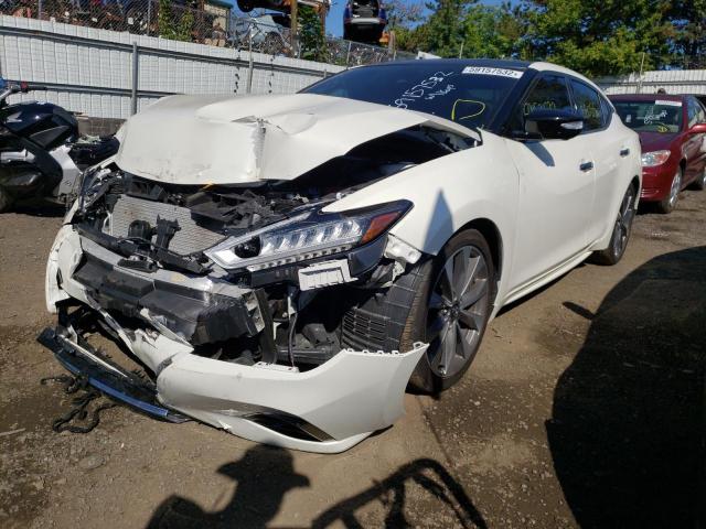 Photo 1 VIN: 1N4AA6FV3MC503166 - NISSAN MAXIMA PLA 