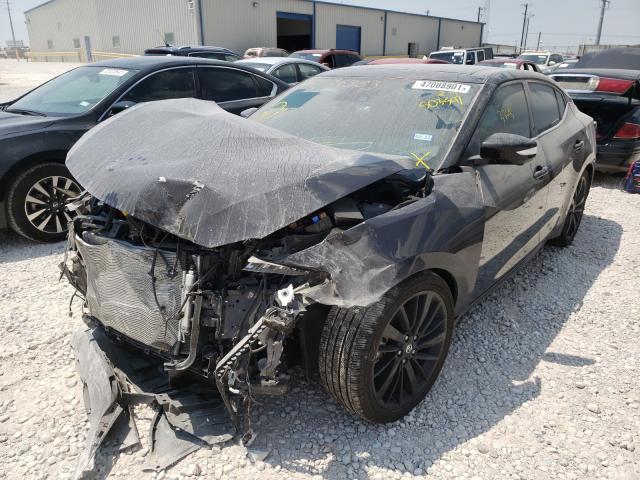 Photo 1 VIN: 1N4AA6FV3MC503541 - NISSAN MAXIMA 