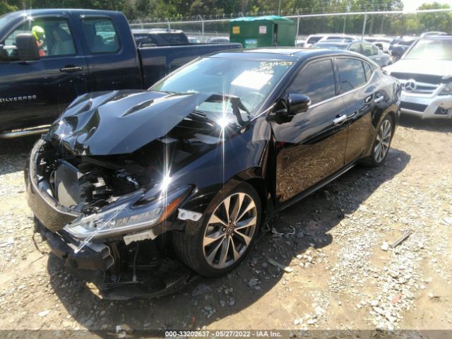 Photo 1 VIN: 1N4AA6FV4MC509896 - NISSAN MAXIMA PLA 