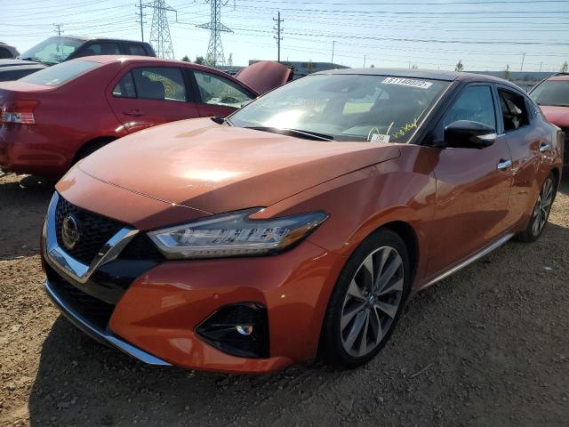 Photo 1 VIN: 1N4AA6FV5MC516453 - NISSAN MAXIMA PLA 