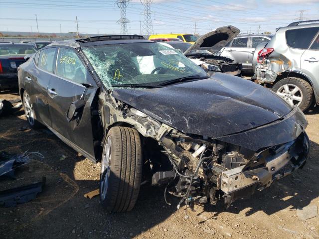 Photo 0 VIN: 1N4AA6FV6LC366707 - NISSAN MAXIMA PLA 