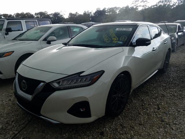 Photo 1 VIN: 1N4AA6FV6LC373267 - NISSAN MAXIMA PLA 