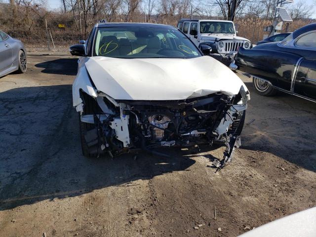 Photo 4 VIN: 1N4AA6FV7PC503207 - NISSAN MAXIMA PLA 