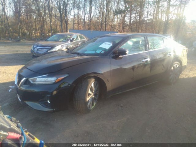 Photo 1 VIN: 1N4AA6FV7PC508651 - NISSAN MAXIMA 