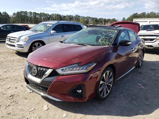 Photo 1 VIN: 1N4AA6FV9MC503169 - NISSAN MAXIMA PLA 