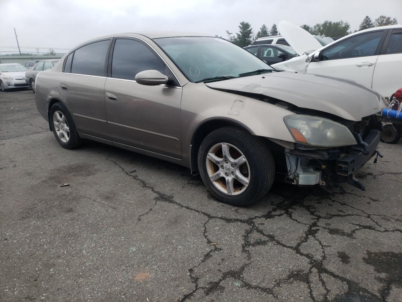 Photo 3 VIN: 1N4AL11D35C202491 - NISSAN ALTIMA 