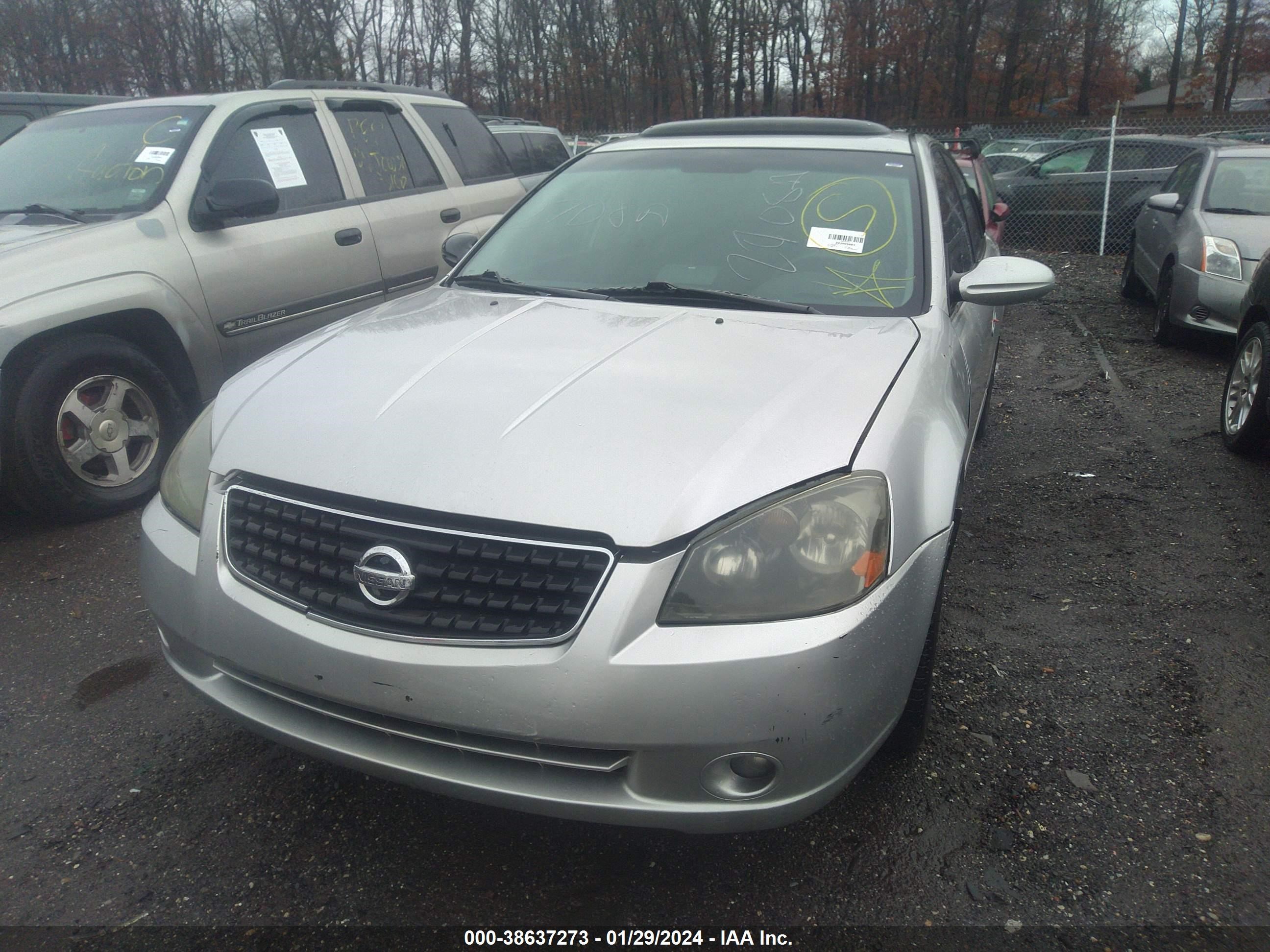 Photo 5 VIN: 1N4AL11D65C172600 - NISSAN ALTIMA 