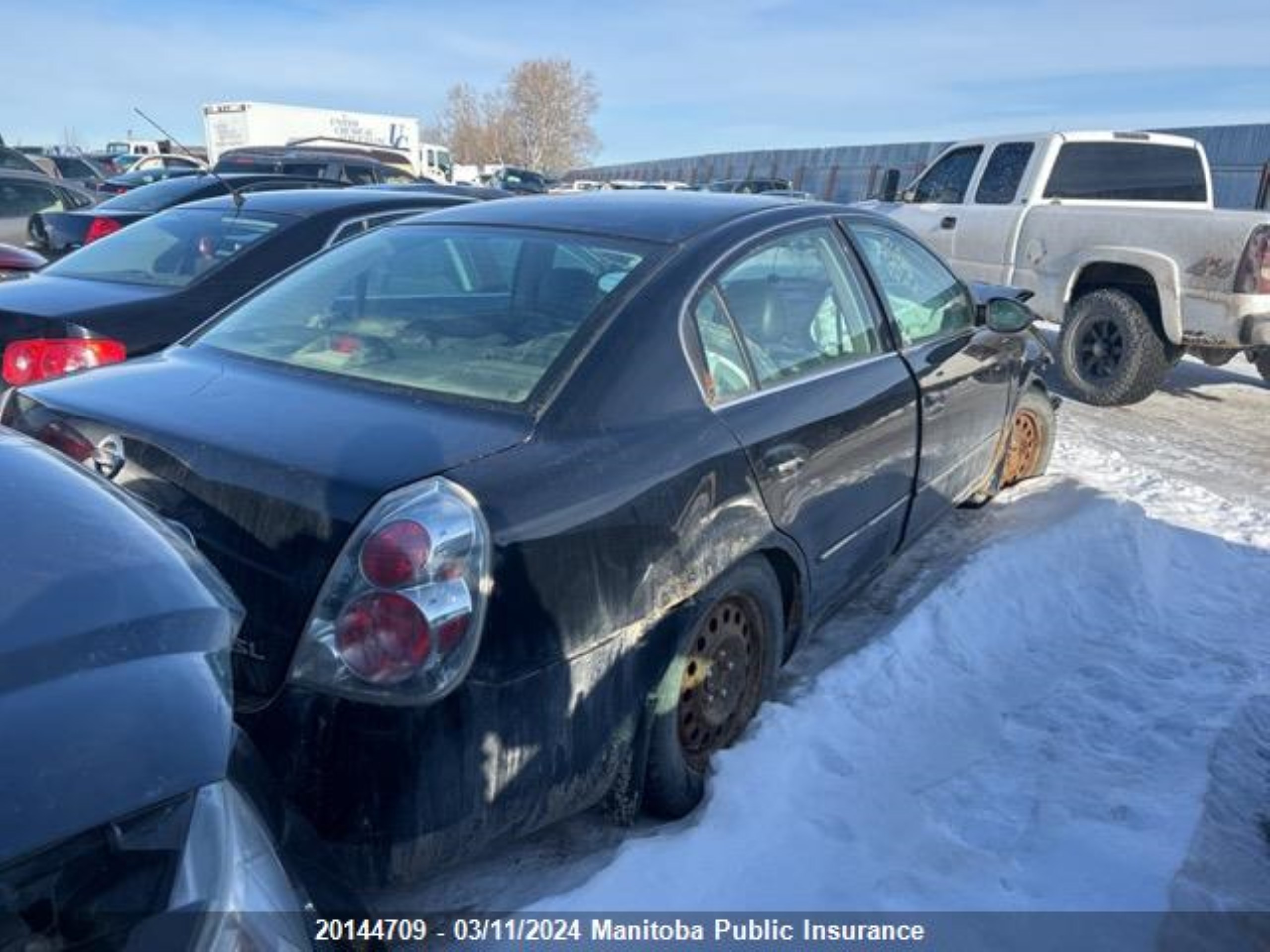 Photo 3 VIN: 1N4AL11E95C203315 - NISSAN ALTIMA 