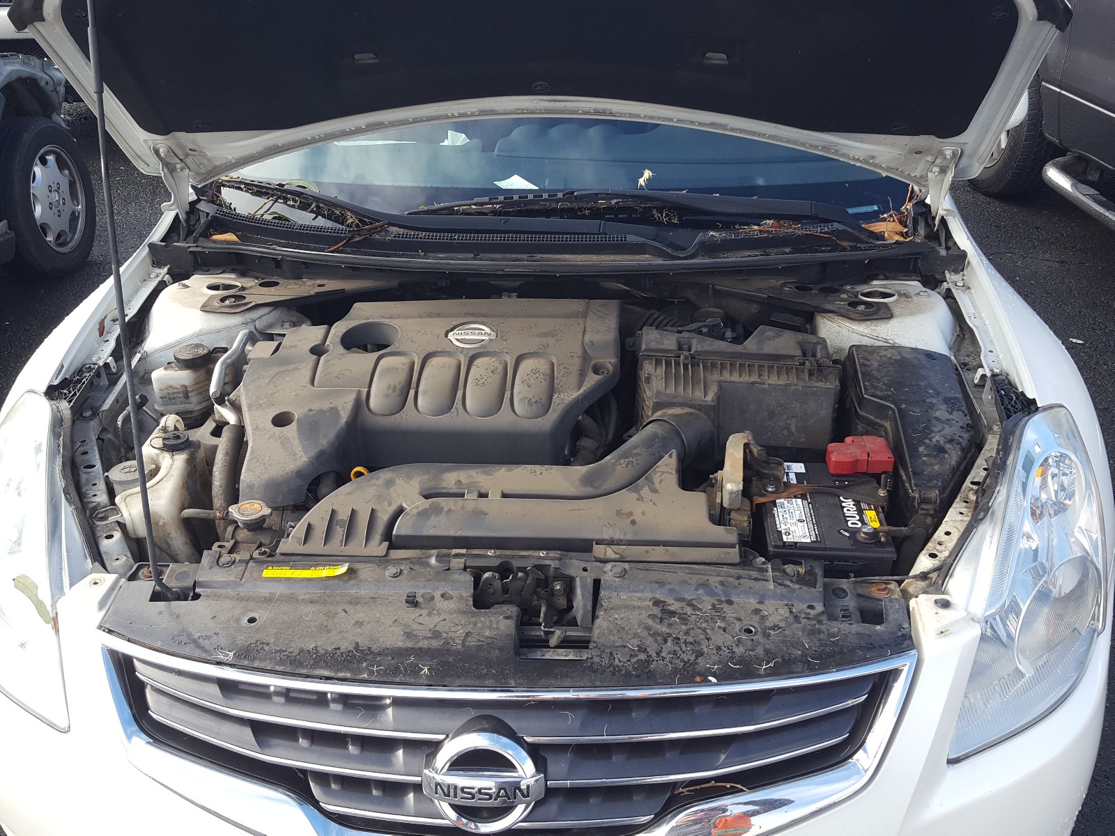 Photo 6 VIN: 1N4AL2AP2BN475048 - NISSAN ALTIMA BAS 