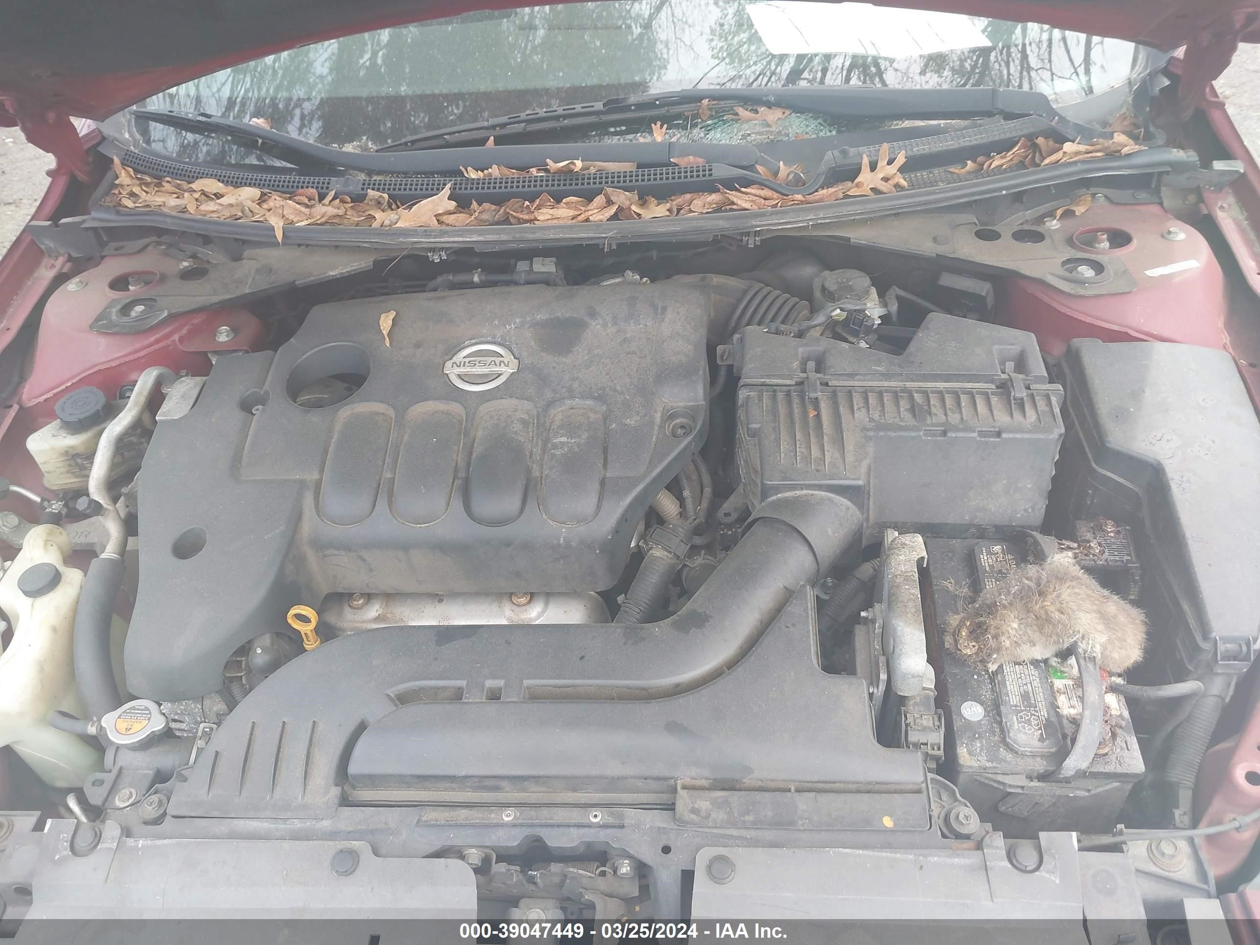 Photo 9 VIN: 1N4AL2AP4CN542590 - NISSAN ALTIMA 