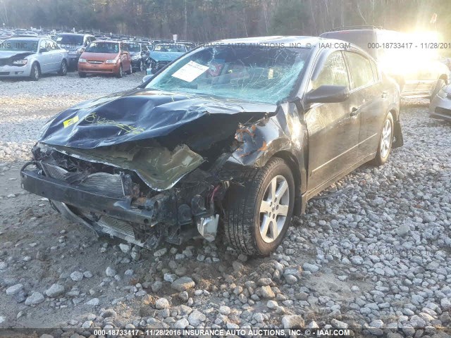 Photo 1 VIN: 1N4AL2AP9BN513259 - NISSAN ALTIMA 