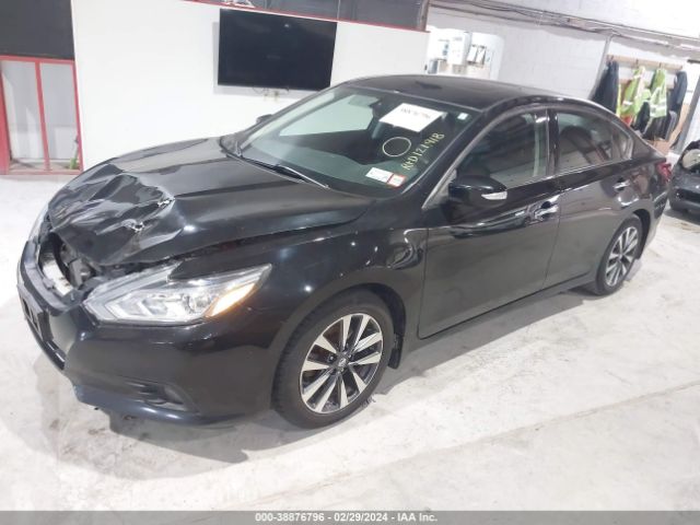 Photo 1 VIN: 1N4AL3AP1HC477593 - NISSAN ALTIMA 