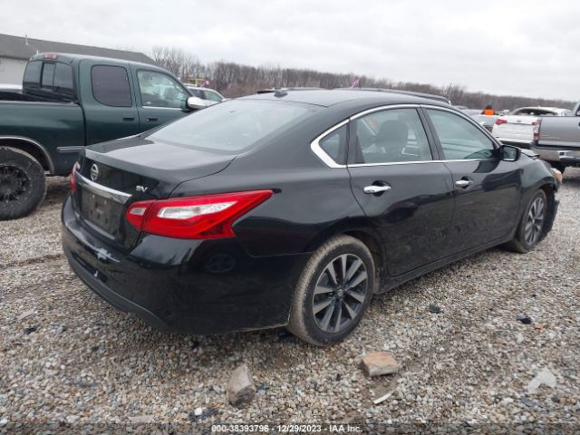 Photo 3 VIN: 1N4AL3AP2HC160695 - NISSAN ALTIMA 