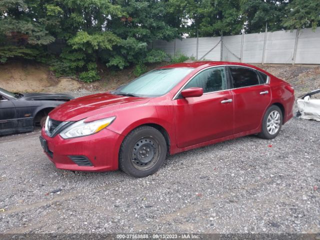 Photo 1 VIN: 1N4AL3AP2HC230924 - NISSAN ALTIMA 