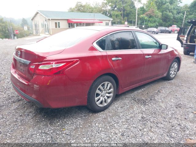 Photo 3 VIN: 1N4AL3AP2HC230924 - NISSAN ALTIMA 