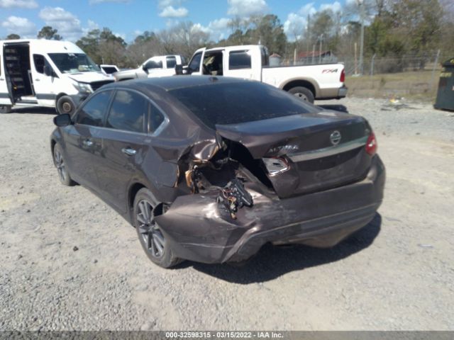 Photo 5 VIN: 1N4AL3AP2HC233029 - NISSAN ALTIMA 