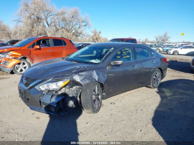 Photo 1 VIN: 1N4AL3AP2HC244662 - NISSAN ALTIMA 