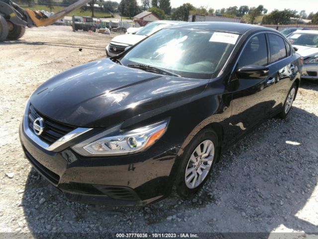 Photo 1 VIN: 1N4AL3AP4HC498826 - NISSAN ALTIMA 