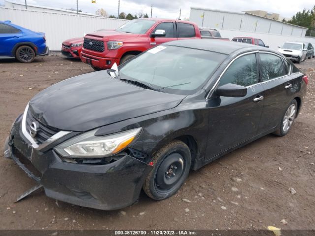 Photo 1 VIN: 1N4AL3AP5HC206696 - NISSAN ALTIMA 