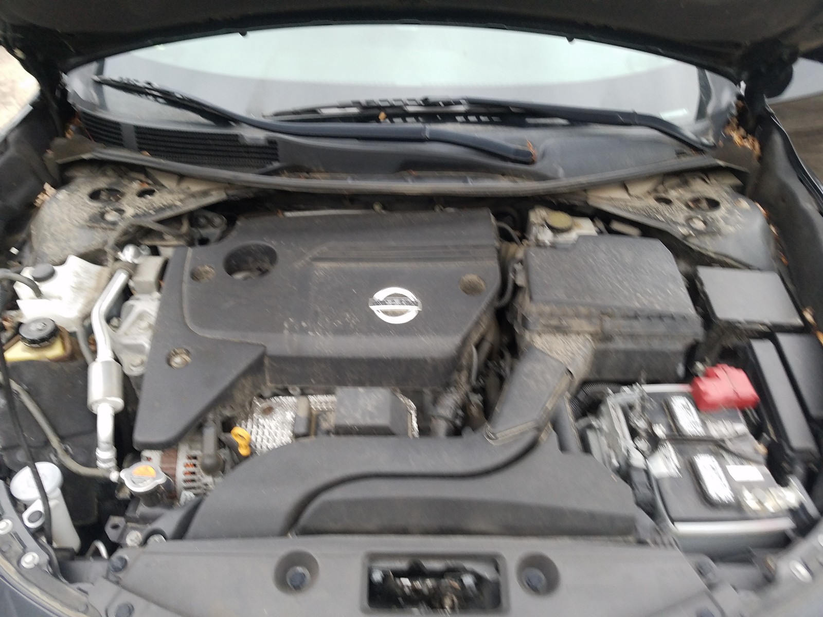 Photo 6 VIN: 1N4AL3AP6EC418597 - NISSAN ALTIMA 