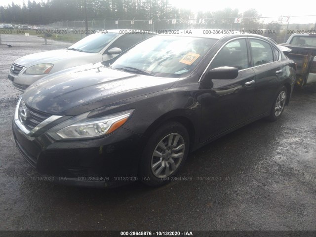 Photo 1 VIN: 1N4AL3AP6HC293055 - NISSAN ALTIMA 