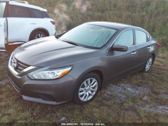 Photo 1 VIN: 1N4AL3AP6HN307136 - NISSAN ALTIMA 