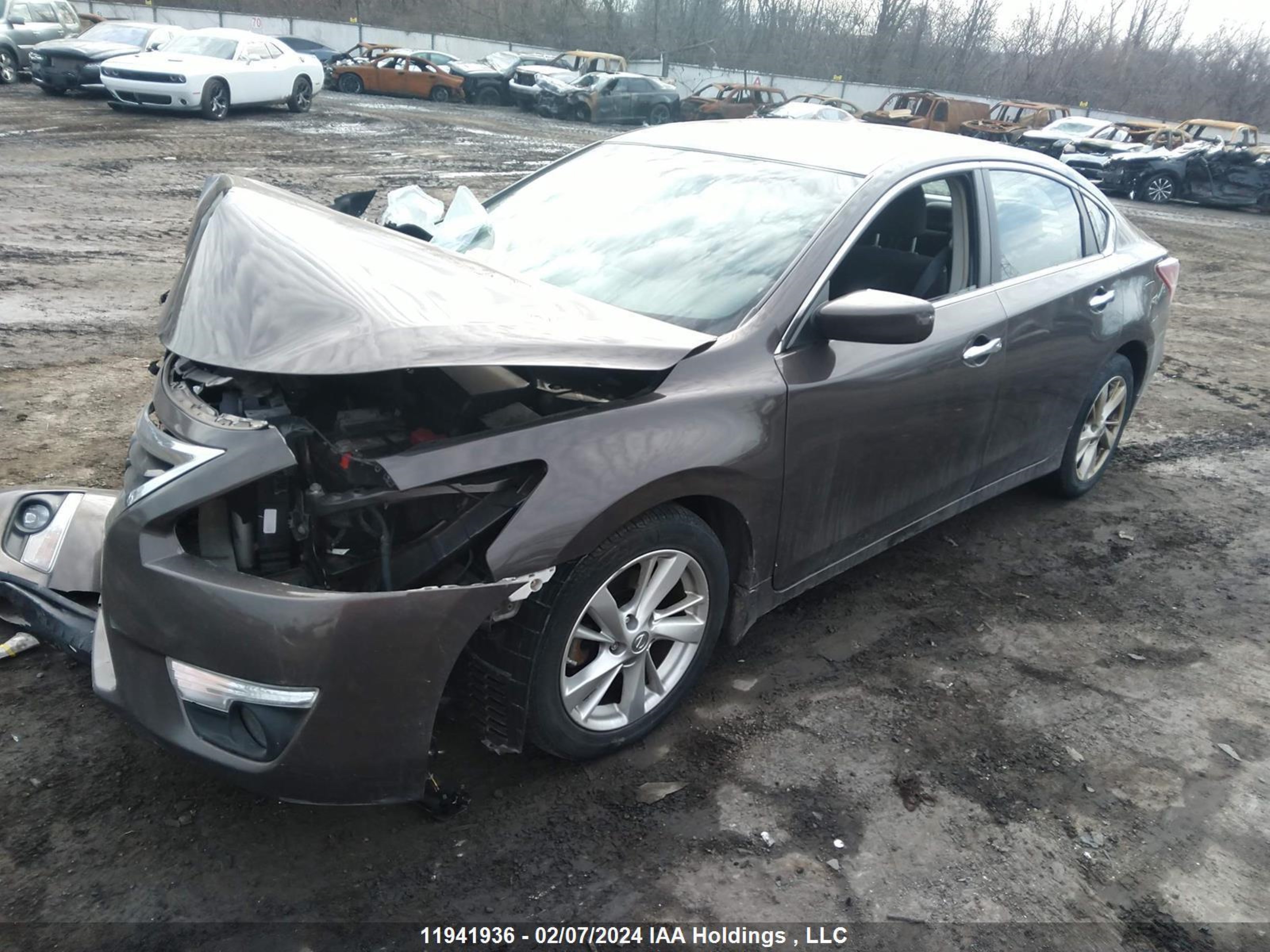 Photo 1 VIN: 1N4AL3AP7DN411399 - NISSAN ALTIMA 