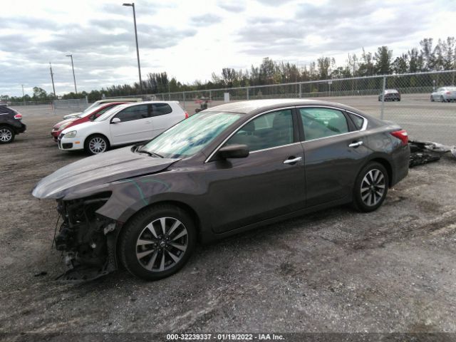 Photo 1 VIN: 1N4AL3AP7HC116398 - NISSAN ALTIMA 