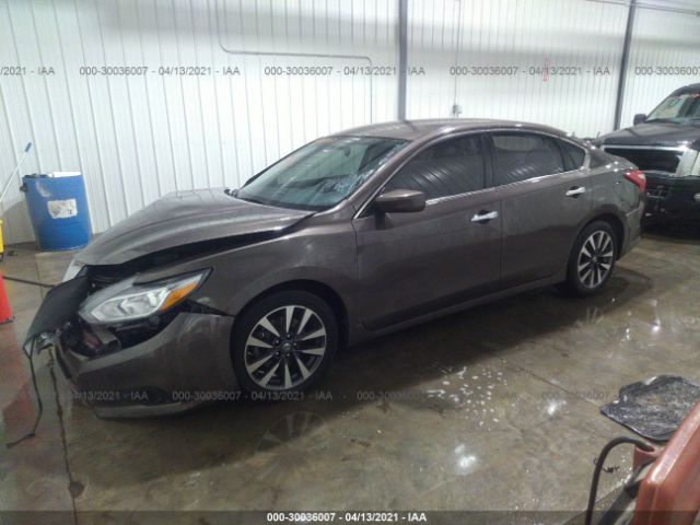 Photo 1 VIN: 1N4AL3AP7HC184894 - NISSAN ALTIMA 