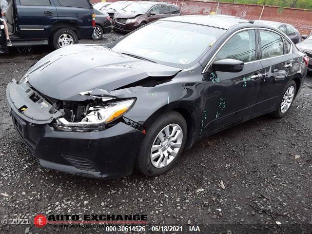 Photo 1 VIN: 1N4AL3AP7HC244415 - NISSAN ALTIMA 