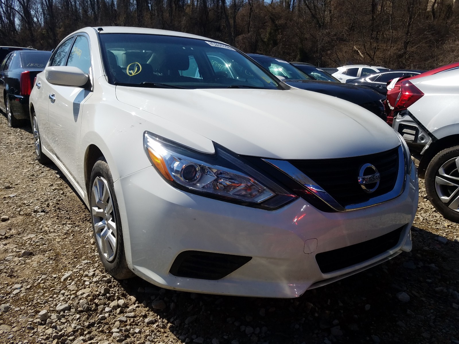 Photo 0 VIN: 1N4AL3AP7HN346527 - NISSAN ALTIMA 2.5 