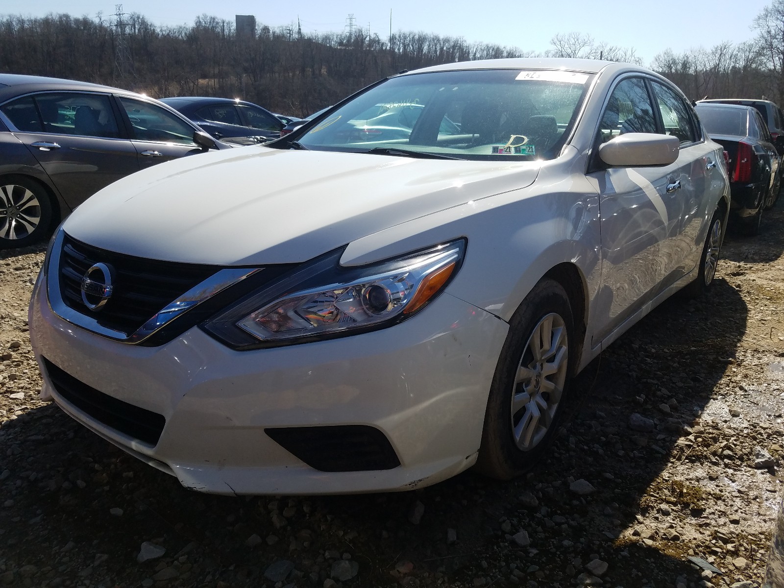 Photo 1 VIN: 1N4AL3AP7HN346527 - NISSAN ALTIMA 2.5 