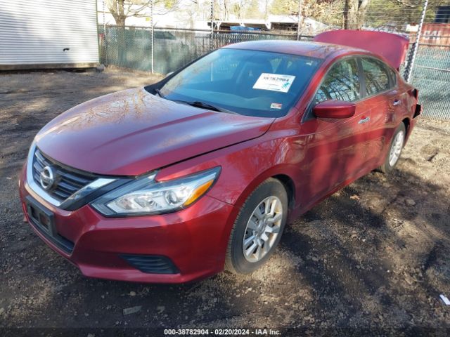 Photo 1 VIN: 1N4AL3AP8GC239237 - NISSAN ALTIMA 